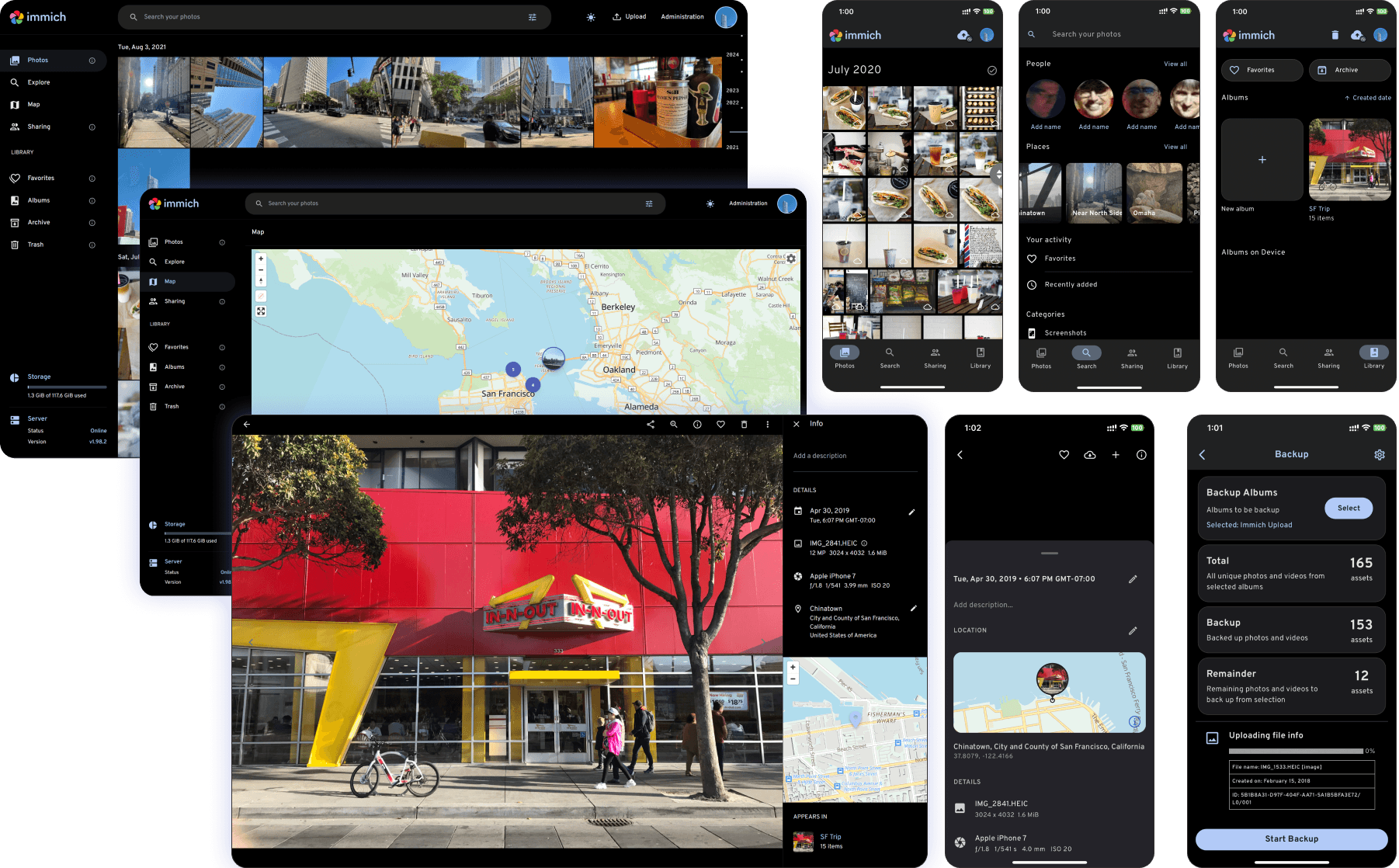 Immich on the web and on a phone: photo timeline, albums and search